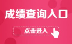 请报考的同学及时登录报名网站查询成绩